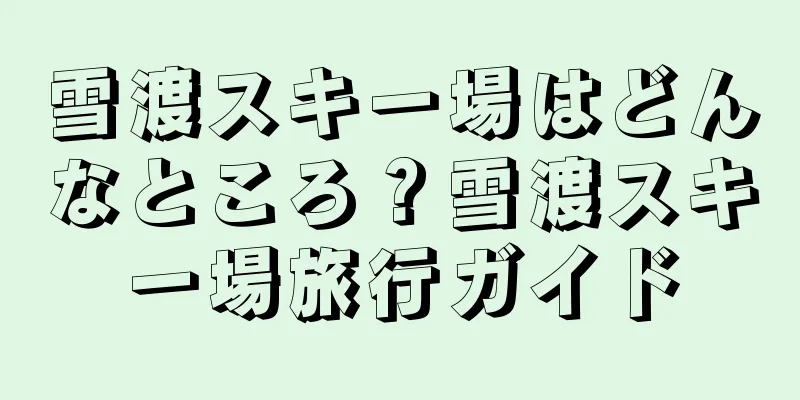 雪渡スキー場はどんなところ？雪渡スキー場旅行ガイド
