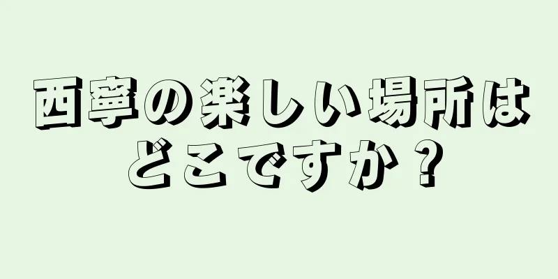 西寧の楽しい場所はどこですか？