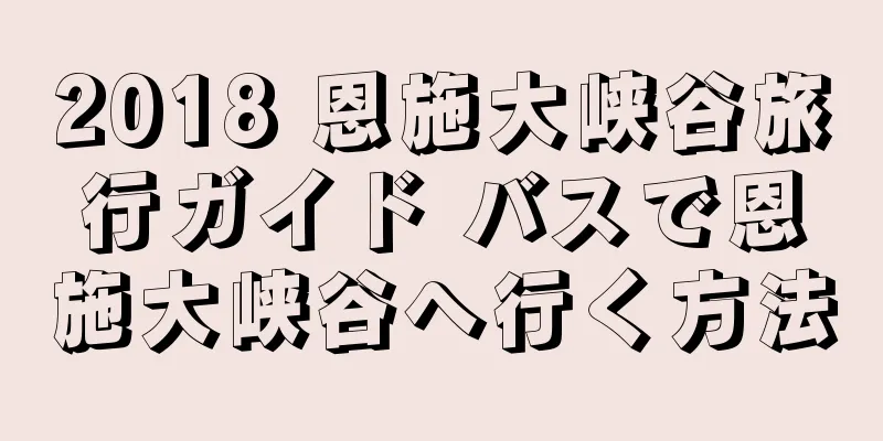 2018 恩施大峡谷旅行ガイド バスで恩施大峡谷へ行く方法