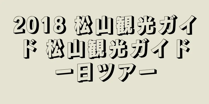 2018 松山観光ガイド 松山観光ガイド 一日ツアー