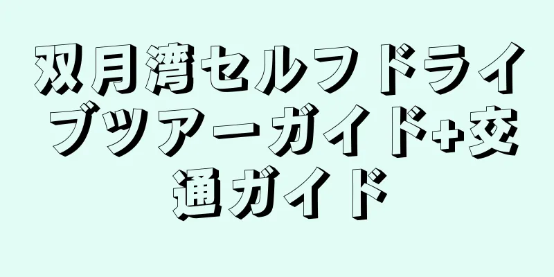 双月湾セルフドライブツアーガイド+交通ガイド
