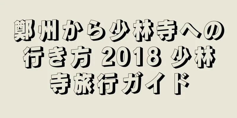 鄭州から少林寺への行き方 2018 少林寺旅行ガイド