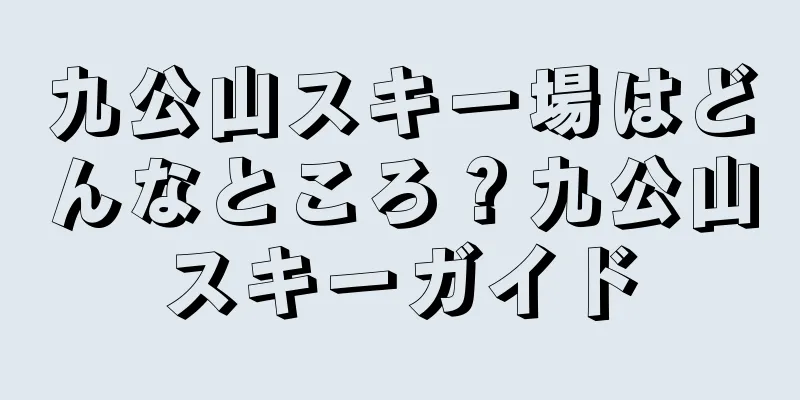 九公山スキー場はどんなところ？九公山スキーガイド