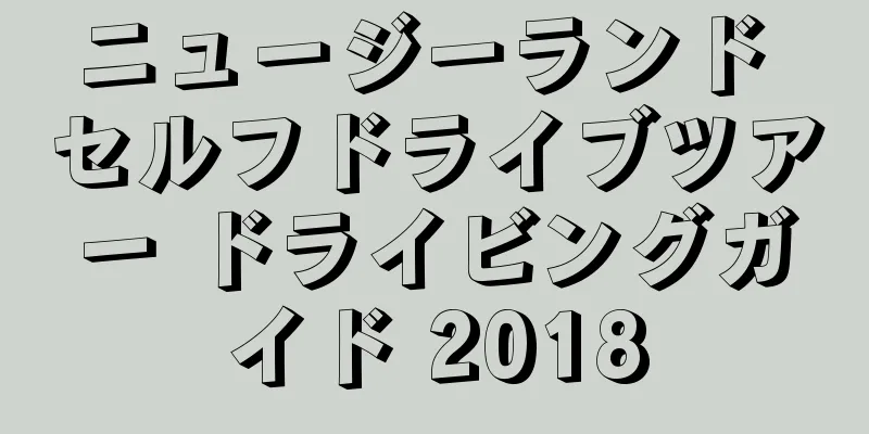 ニュージーランド セルフドライブツアー ドライビングガイド 2018