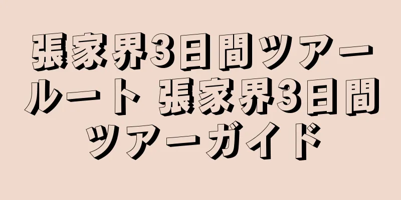 張家界3日間ツアールート 張家界3日間ツアーガイド