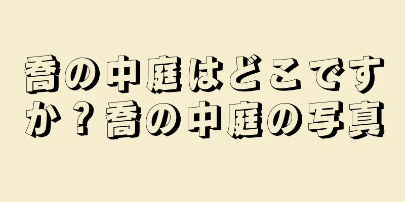 喬の中庭はどこですか？喬の中庭の写真