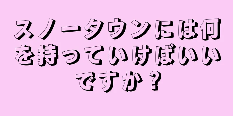 スノータウンには何を持っていけばいいですか？