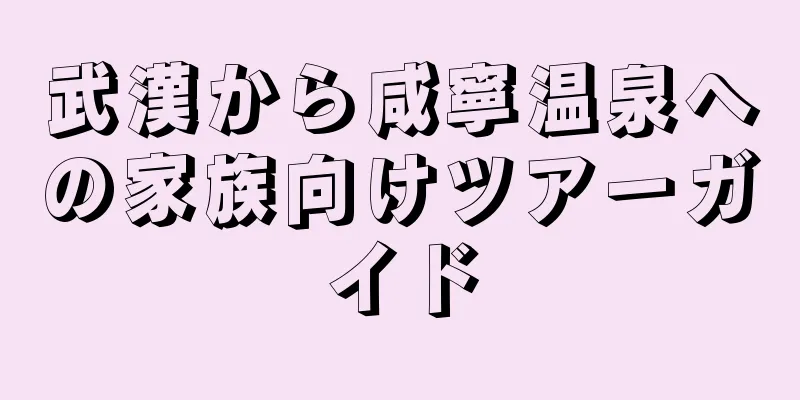 武漢から咸寧温泉への家族向けツアーガイド