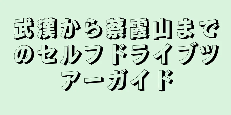 武漢から蔡霞山までのセルフドライブツアーガイド