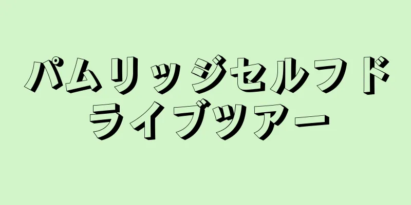 パムリッジセルフドライブツアー