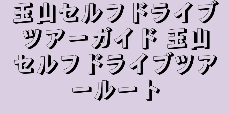 玉山セルフドライブツアーガイド 玉山セルフドライブツアールート