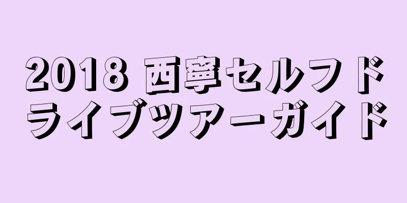 2018 西寧セルフドライブツアーガイド