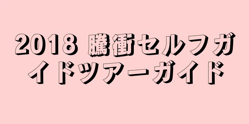 2018 騰衝セルフガイドツアーガイド