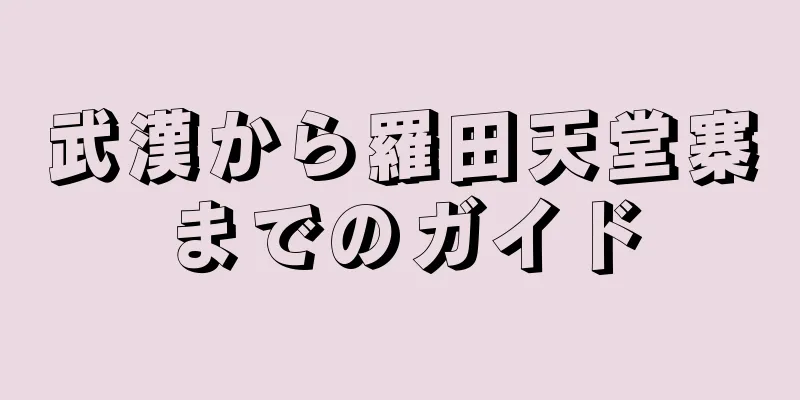武漢から羅田天堂寨までのガイド