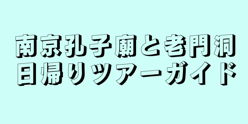 南京孔子廟と老門洞日帰りツアーガイド