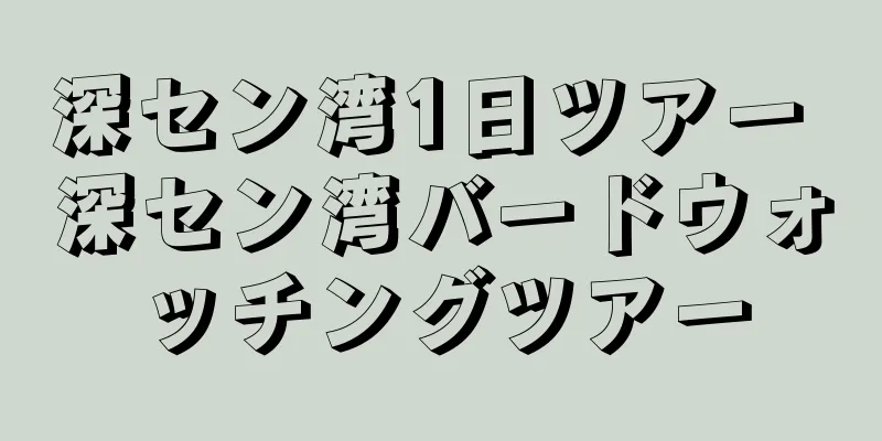 深セン湾1日ツアー 深セン湾バードウォッチングツアー