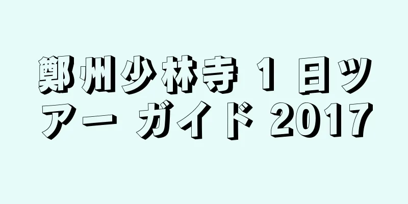 鄭州少林寺 1 日ツアー ガイド 2017