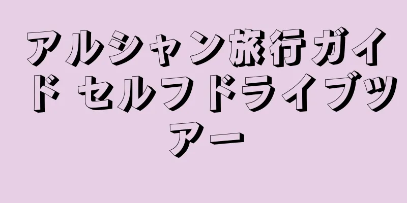 アルシャン旅行ガイド セルフドライブツアー