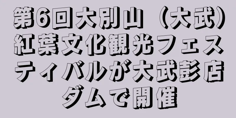 第6回大別山（大武）紅葉文化観光フェスティバルが大武彭店ダムで開催