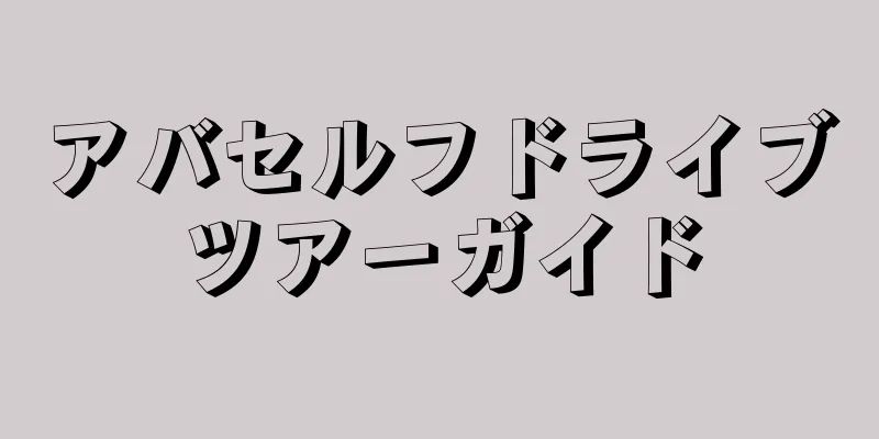 アバセルフドライブツアーガイド
