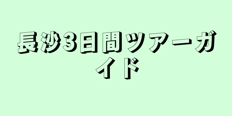 長沙3日間ツアーガイド