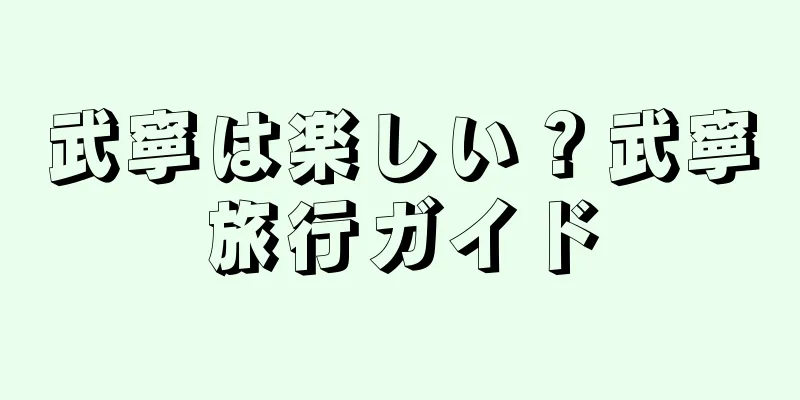 武寧は楽しい？武寧旅行ガイド