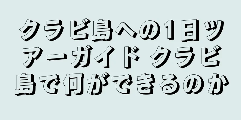 クラビ島への1日ツアーガイド クラビ島で何ができるのか