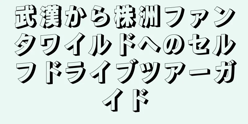 武漢から株洲ファンタワイルドへのセルフドライブツアーガイド