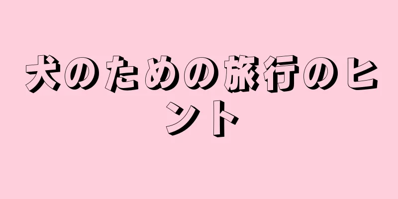 犬のための旅行のヒント