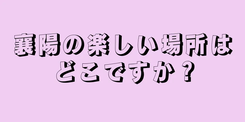 襄陽の楽しい場所はどこですか？