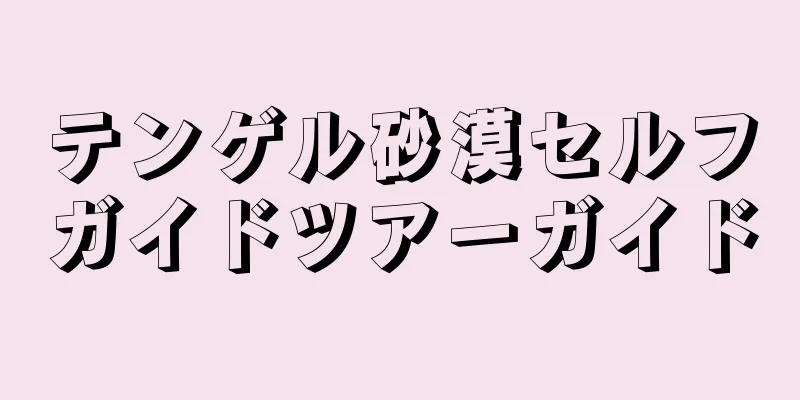 テンゲル砂漠セルフガイドツアーガイド