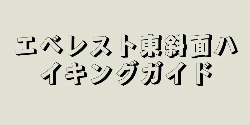 エベレスト東斜面ハイキングガイド
