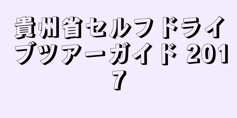 貴州省セルフドライブツアーガイド 2017
