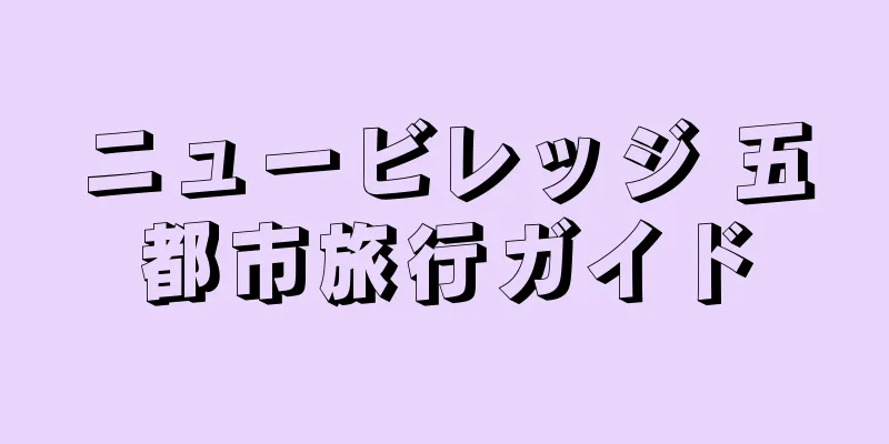 ニュービレッジ 五都市旅行ガイド