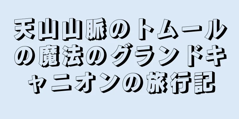 天山山脈のトムールの魔法のグランドキャニオンの旅行記