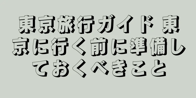 東京旅行ガイド 東京に行く前に準備しておくべきこと