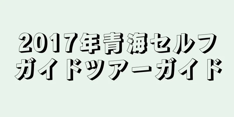 2017年青海セルフガイドツアーガイド
