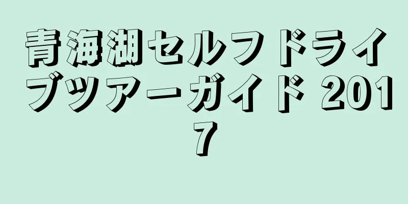 青海湖セルフドライブツアーガイド 2017