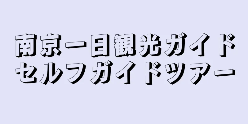 南京一日観光ガイドセルフガイドツアー