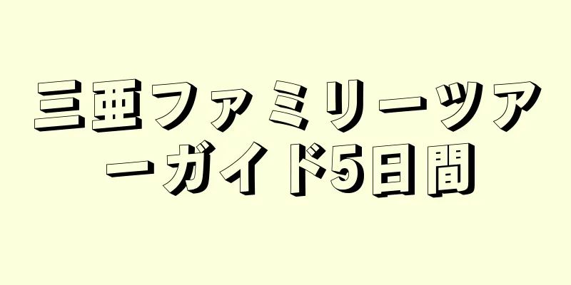 三亜ファミリーツアーガイド5日間