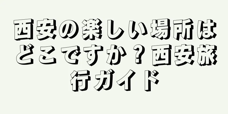 西安の楽しい場所はどこですか？西安旅行ガイド