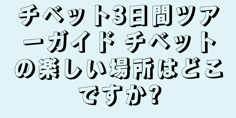 チベット3日間ツアーガイド チベットの楽しい場所はどこですか?