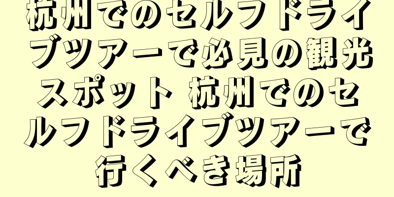 杭州でのセルフドライブツアーで必見の観光スポット 杭州でのセルフドライブツアーで行くべき場所