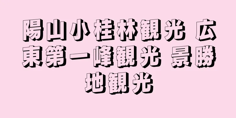 陽山小桂林観光 広東第一峰観光 景勝地観光