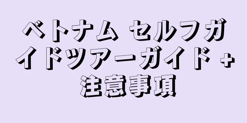 ベトナム セルフガイドツアーガイド + 注意事項