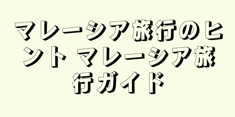 マレーシア旅行のヒント マレーシア旅行ガイド