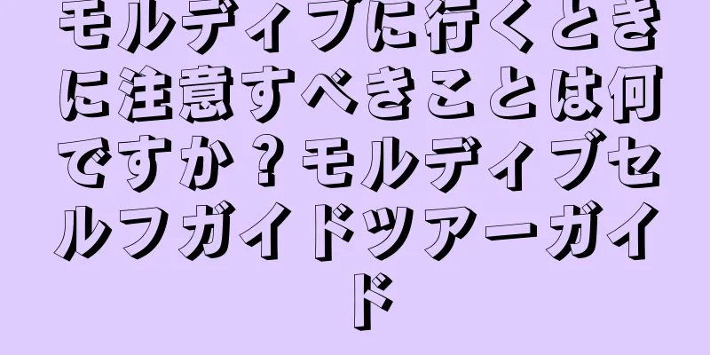 モルディブに行くときに注意すべきことは何ですか？モルディブセルフガイドツアーガイド