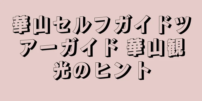 華山セルフガイドツアーガイド 華山観光のヒント