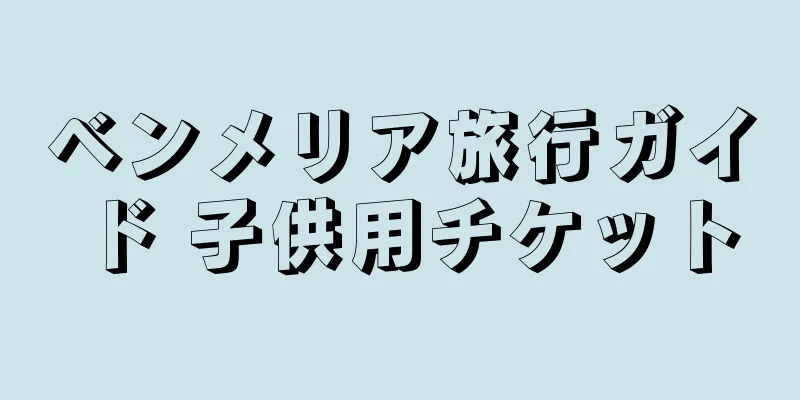 ベンメリア旅行ガイド 子供用チケット