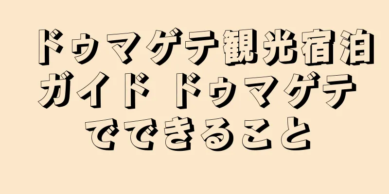 ドゥマゲテ観光宿泊ガイド ドゥマゲテでできること